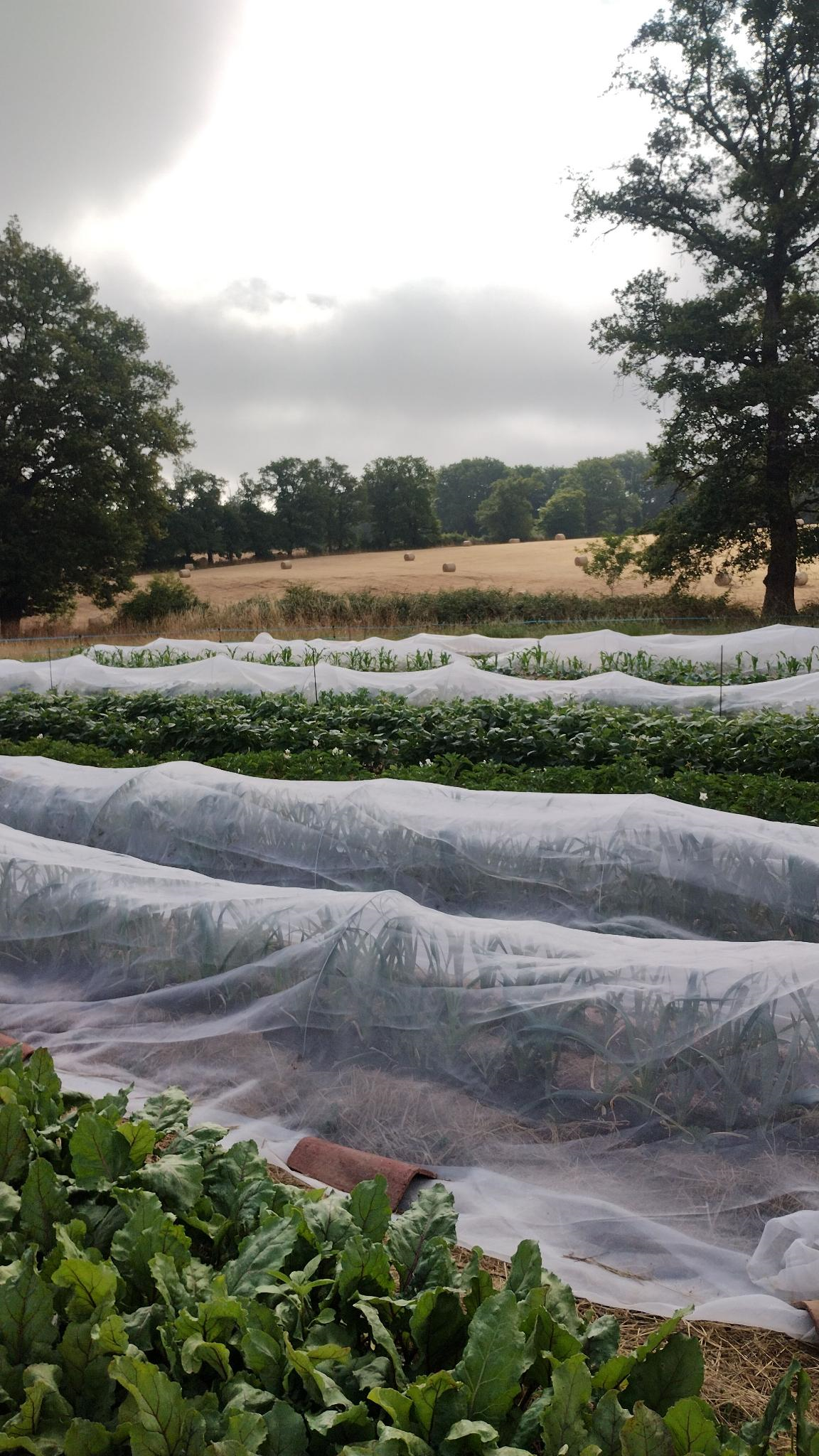 scenic photo of our farm