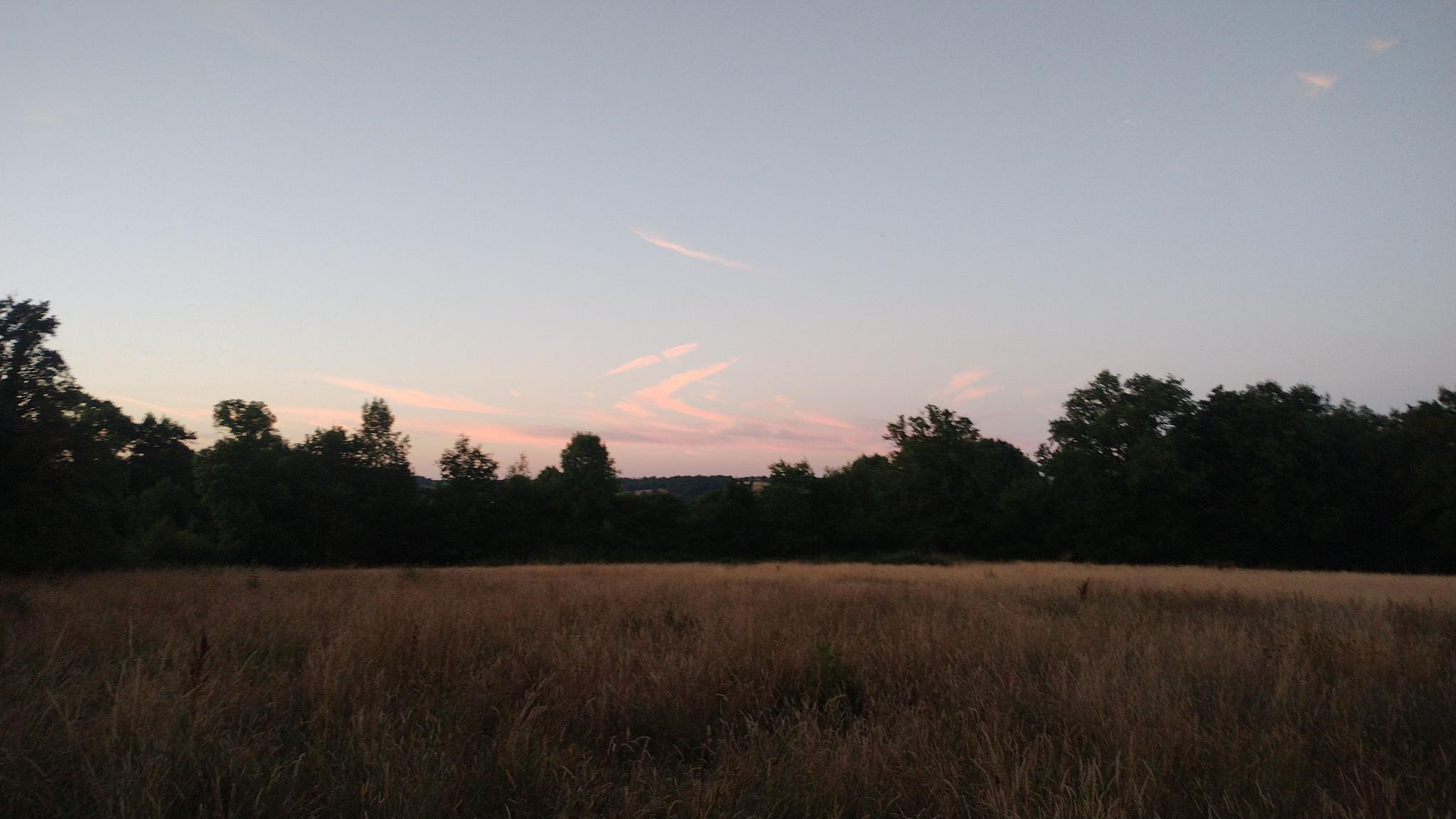 scenic photo of our farm