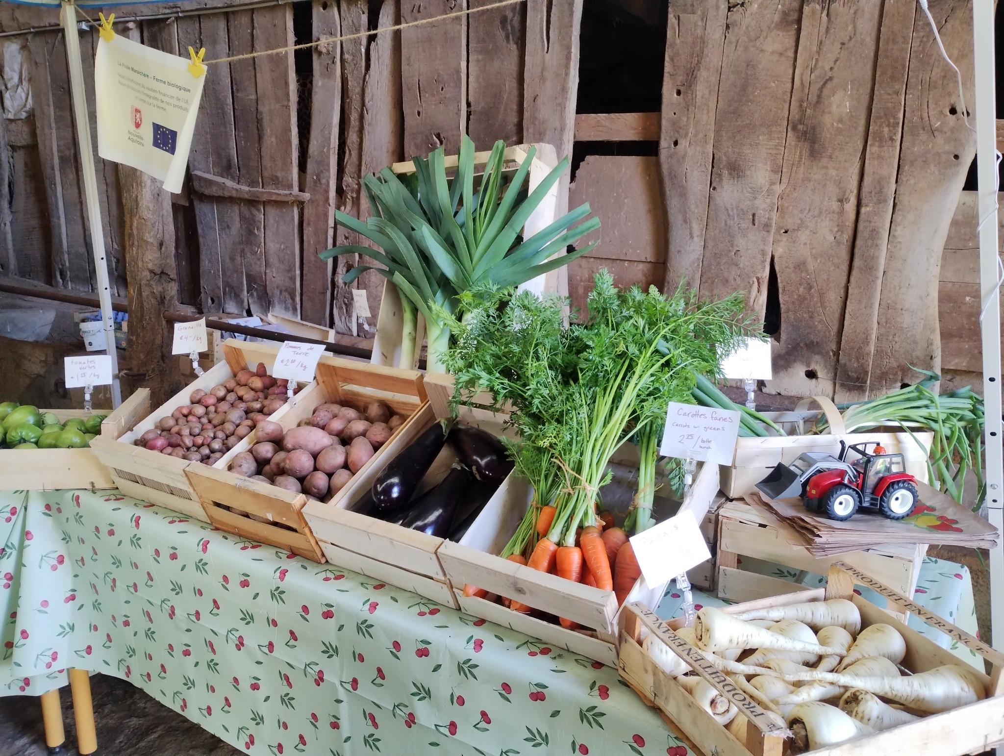 scenic photo of our farm